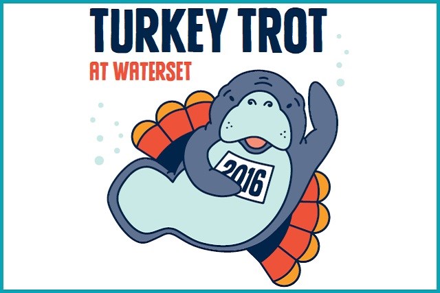 2016 Turkey Trot image