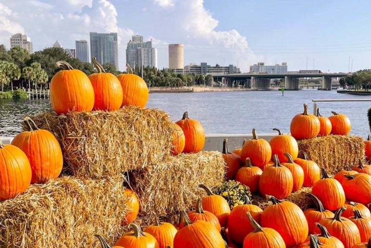 Fall Fun Blog
