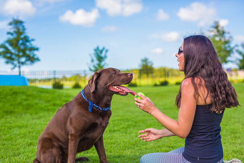 Woman with dog at Waterset dog park