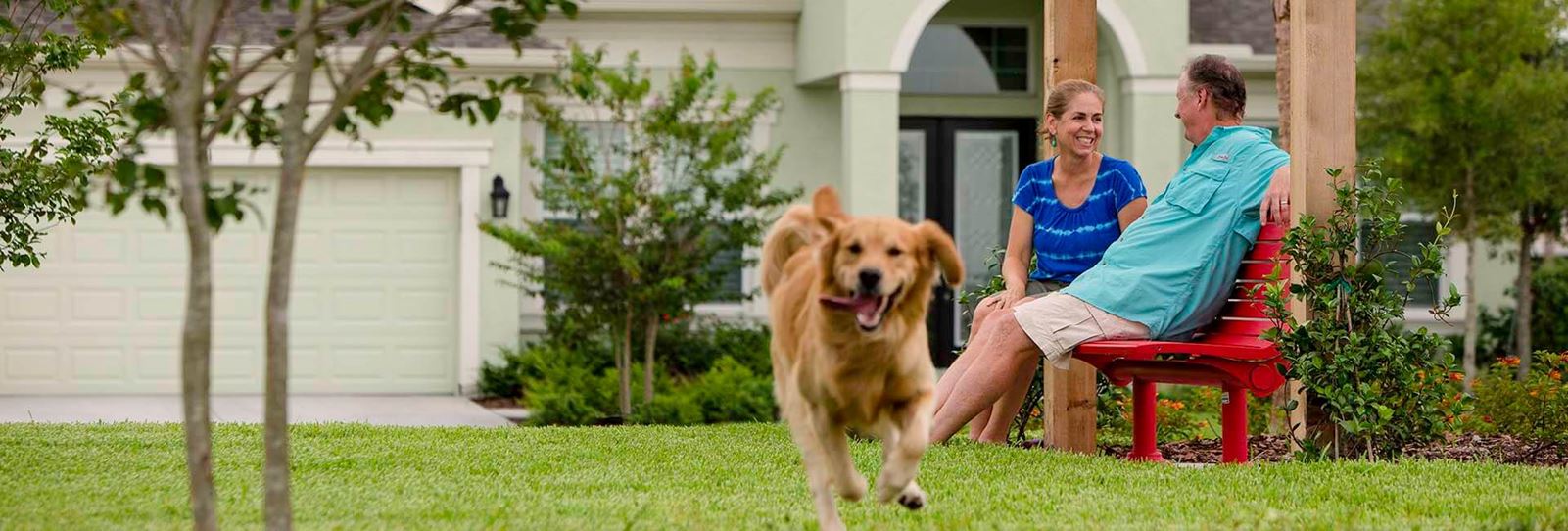 Dog running through the grass in front of home in Waterset.