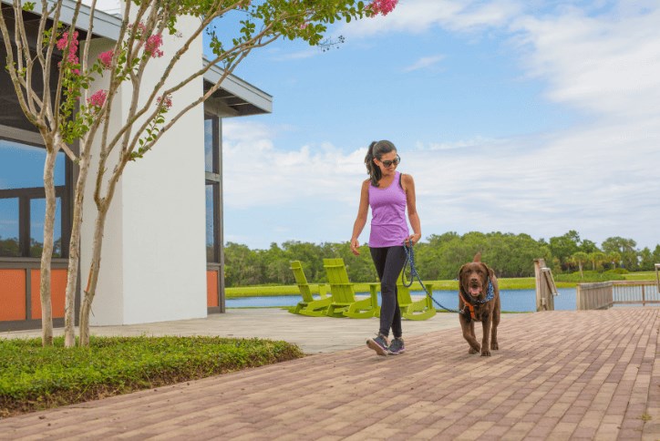 Dog walker trail Waterset Apollo Beach The Landing Club and Cafe'