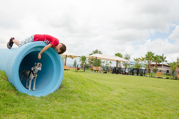 Dog park at the Lakeside Park amenity in Waterset.