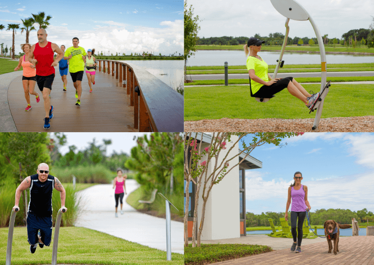 Collage Trails at Waterset by Newland Apollo Beach, Fl