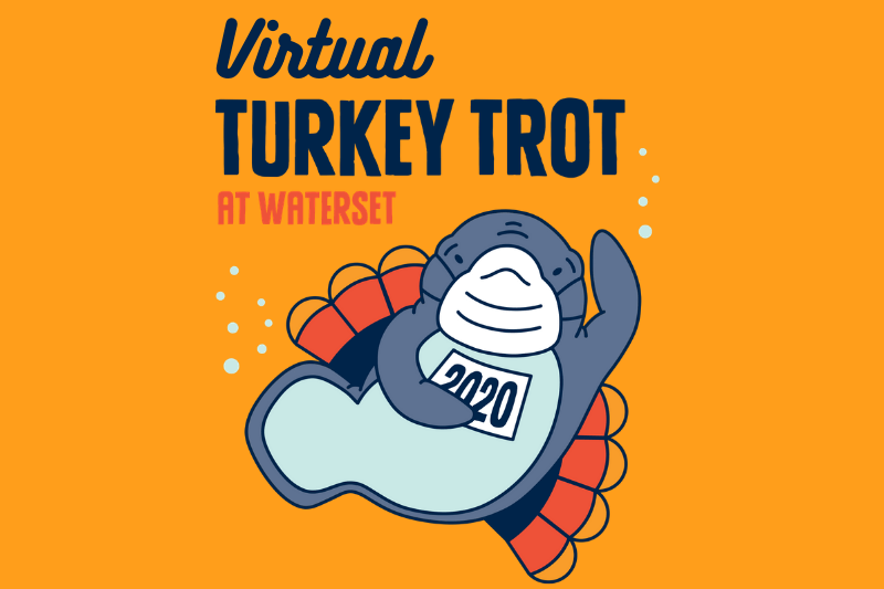 Virtual Turkey Trot at Waterset
