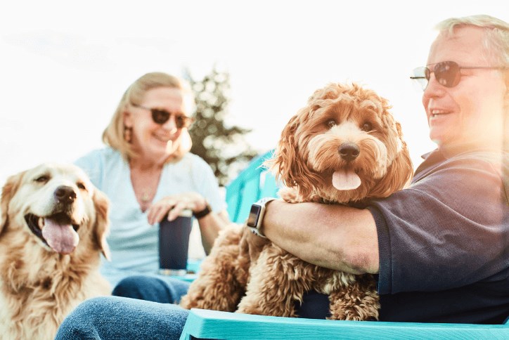 Couple with their dogs in Waterset's dog park.