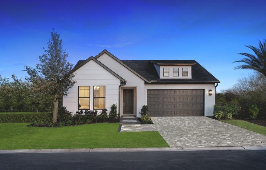 Vine Razorbill front dusk.jpg