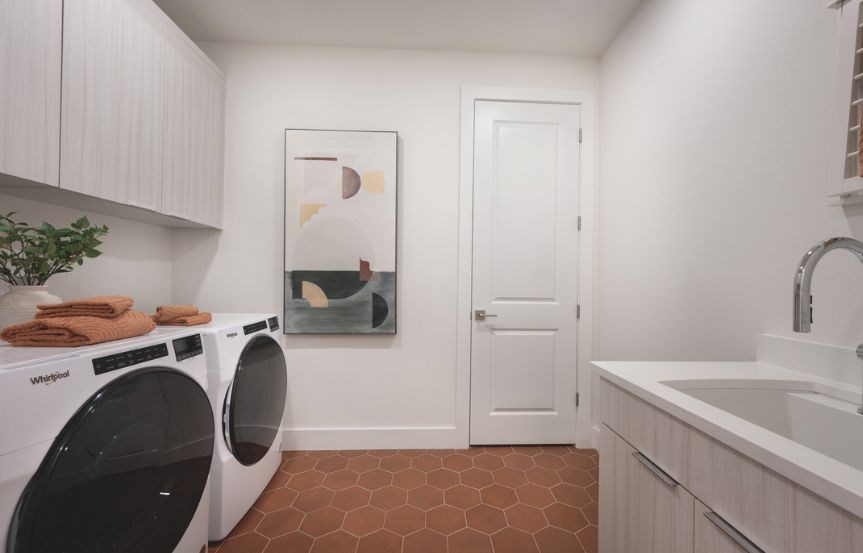 Vine Razorbill laundry.jpg