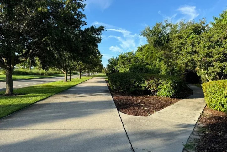 South Coast Greenway Blog